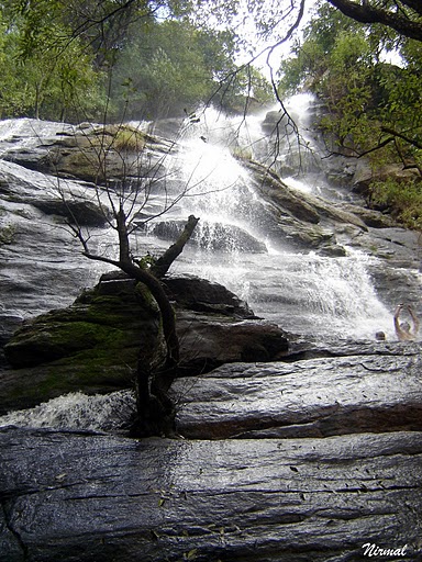 Falls in Yercaud.jpg